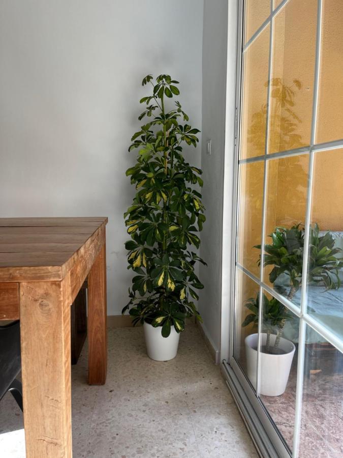 Apartamento La Biznaga Málaga Eksteriør billede
